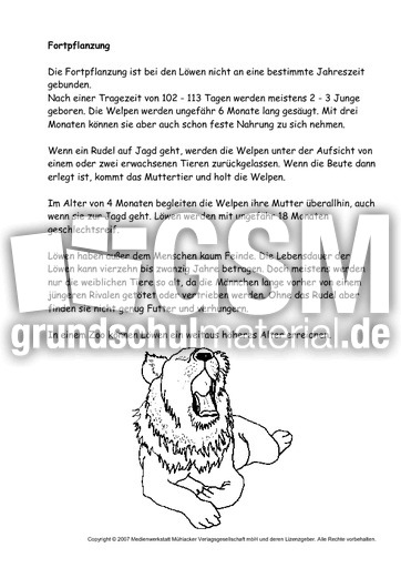 Löwe-Text-3.pdf